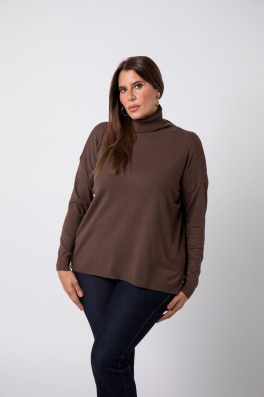 Col roulé grande taille Taupe Colette - 1